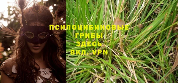 а пвп мука Осинники