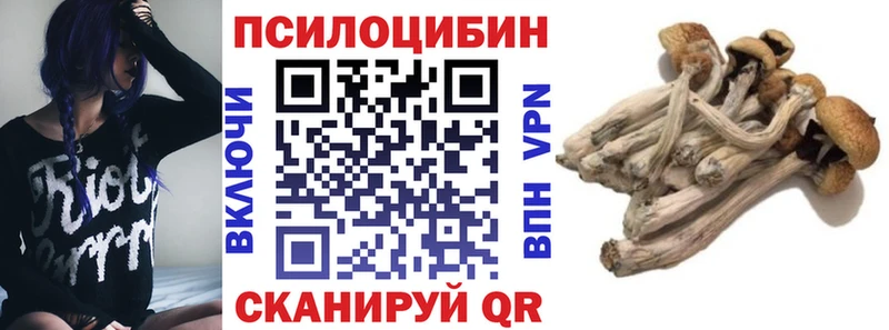 Купить закладки  Новочебоксарск  Псилоцибиновые грибы GOLDEN TEACHER 